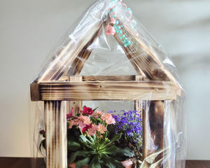 Geschenkidee Laterne mit Pflanzschale