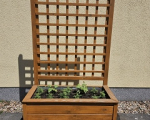 Pflanzkübel mit Rankgitter